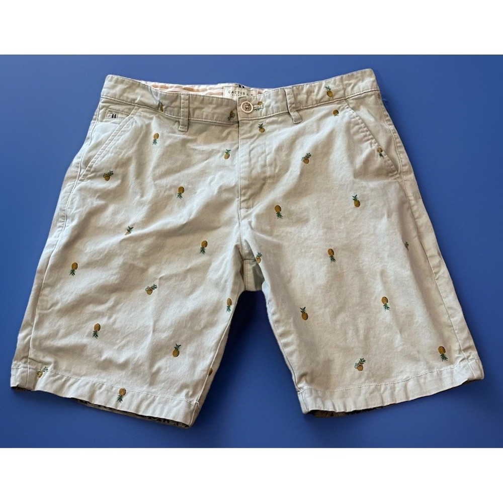 Cactus Man Ricky Singh Size 33 Pineapple Pattern Casual Chino Golf  Beach Shorts